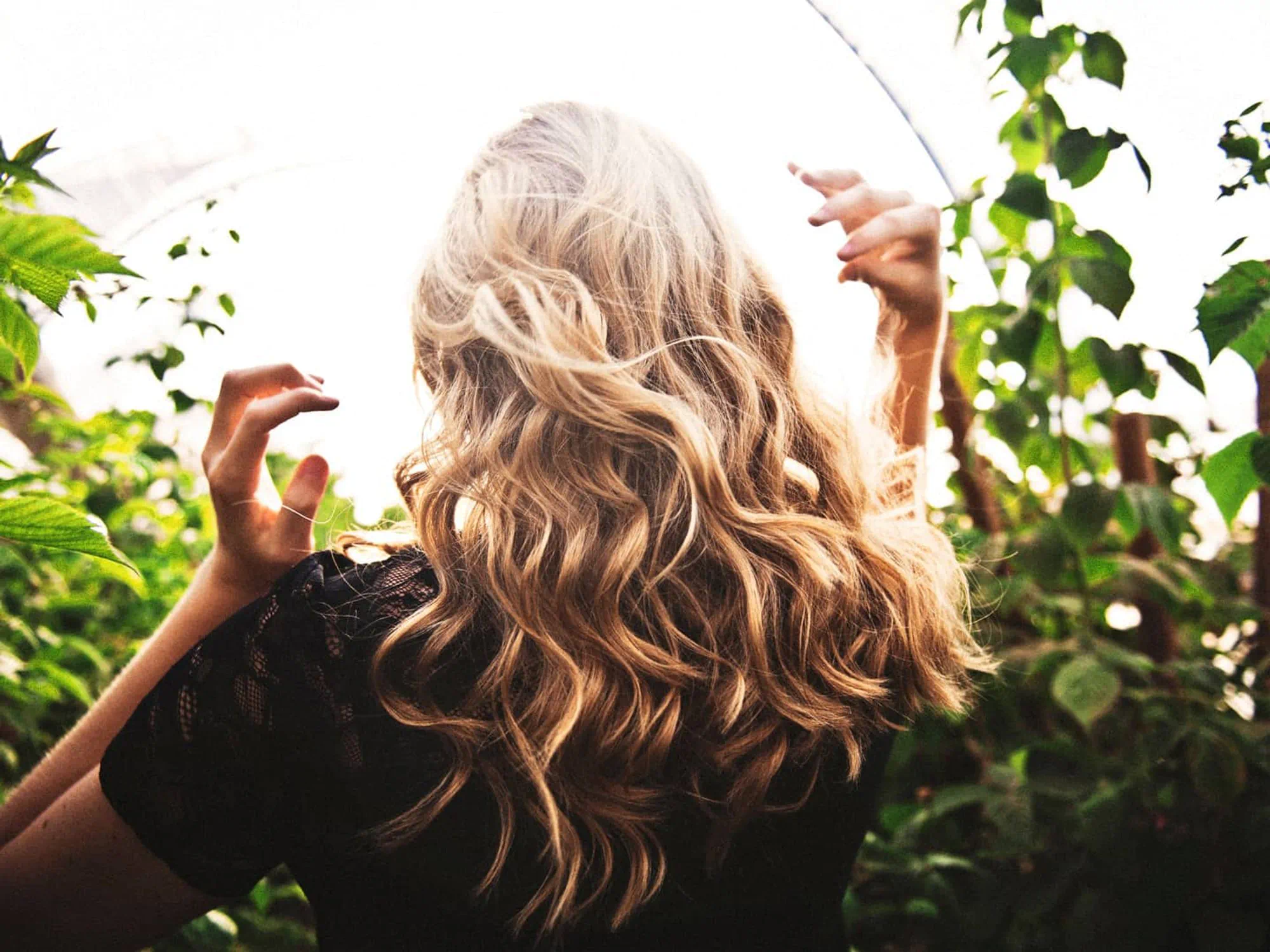 5 best-smelling ingredients for sophisticated Hair Care